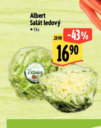 Albert Salát ledový