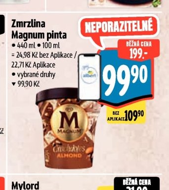 Zmrzlina Magnum pinta