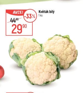 Květák bílý