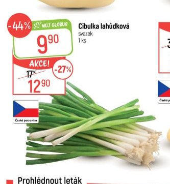 Cibulka lahůdková