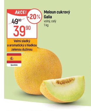 Meloun cukrový Galia