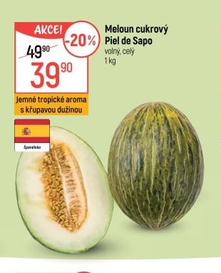 Meloun cukrový Piel de Sapo