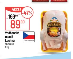 Vodňanská mladá kachna