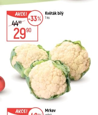 Květák bílý