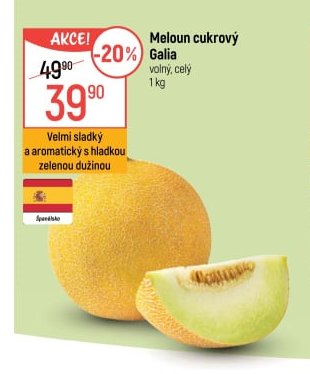 Meloun cukrový Galia