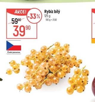 Rybíz bílý