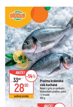 Pražma královská celá kuchaná