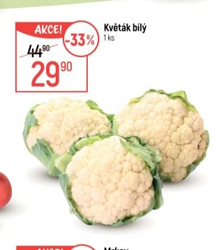 Květák bílý