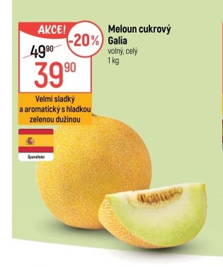 Meloun cukrový Galia