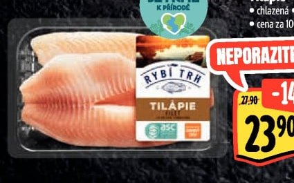 Tilápie - filet