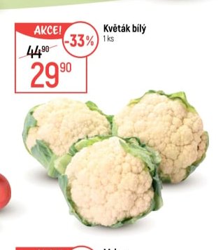 Květák bílý