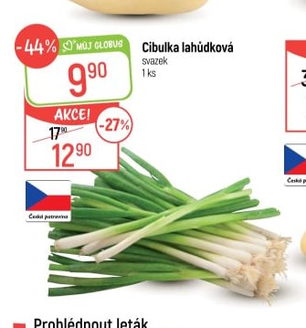 Cibulka lahůdková