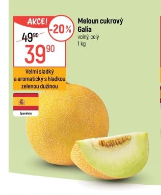 Meloun cukrový Galia
