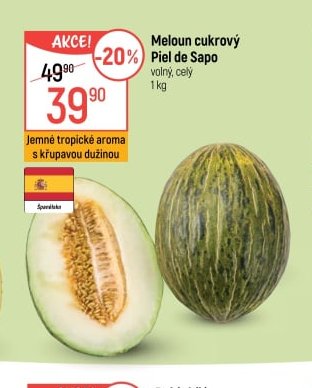 Meloun cukrový Piel de Sapo