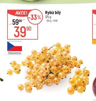 Rybíz bílý