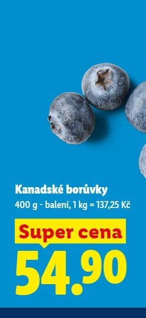 Kanadské borůvky