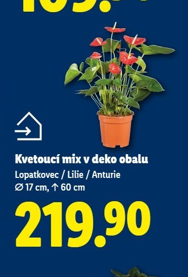 Kvetoucí mix v deko obalu