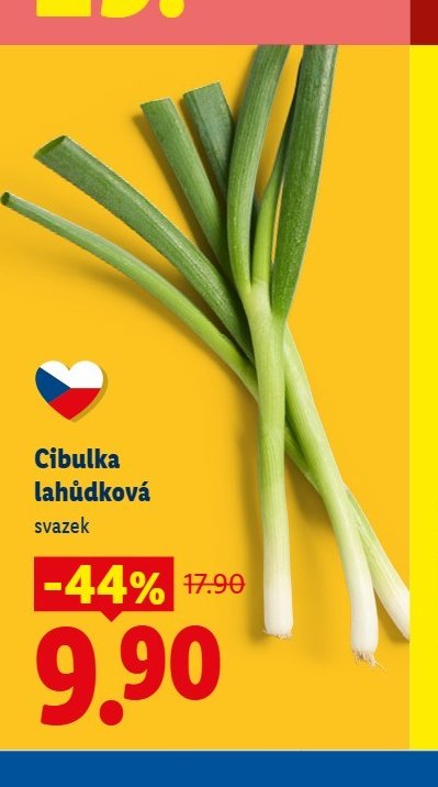 Cibulka lahůdková