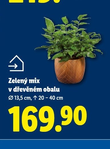 Zelený mix v dřevěném obalu