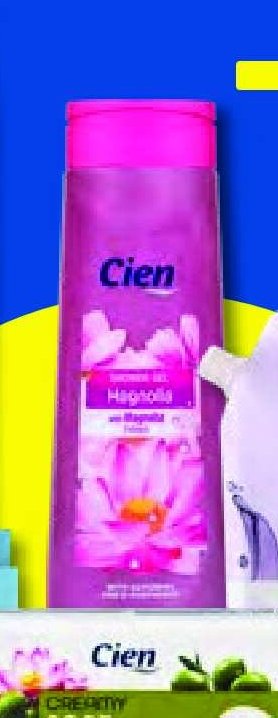 Cien Magnolia