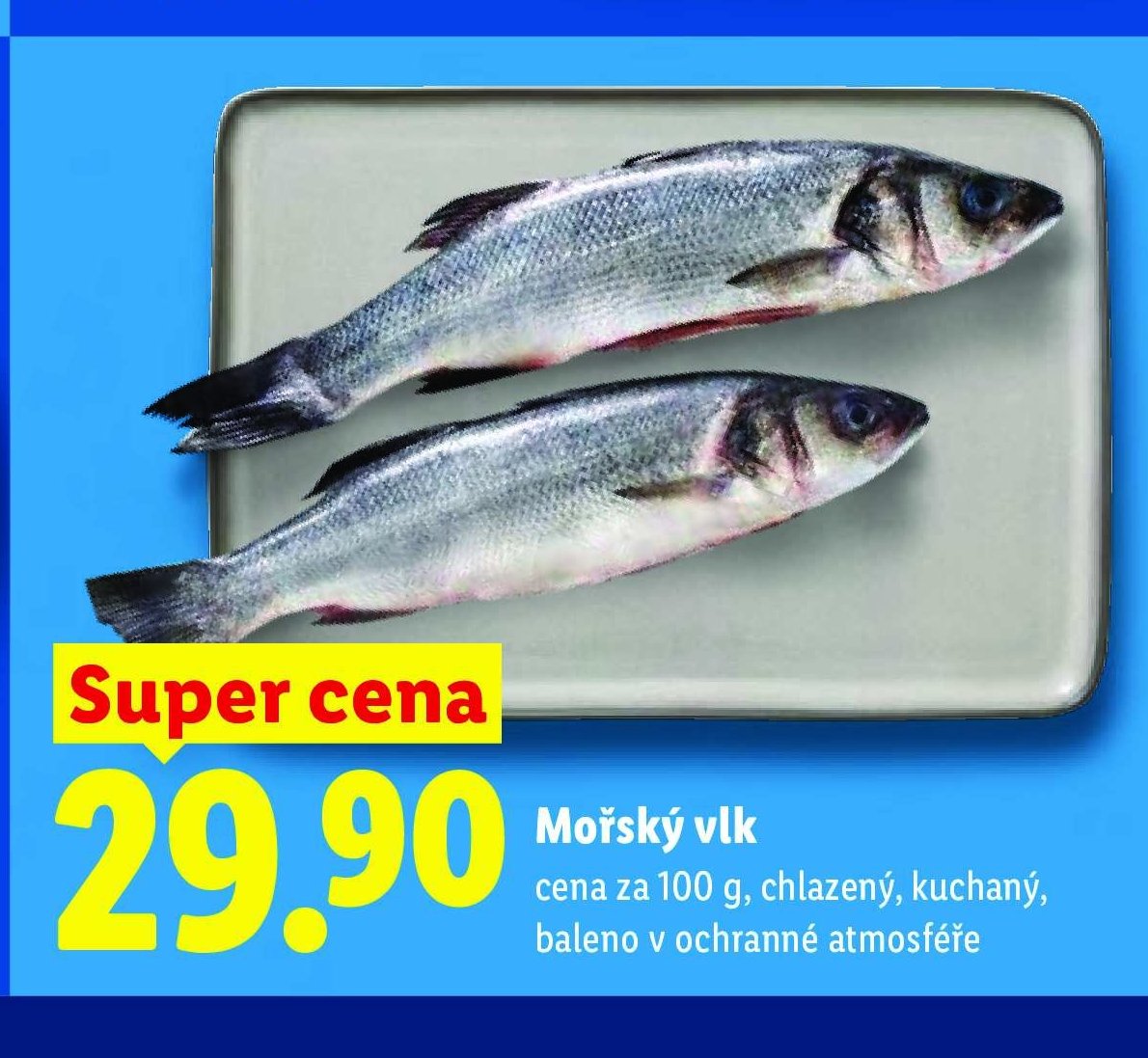 Mořský vlk