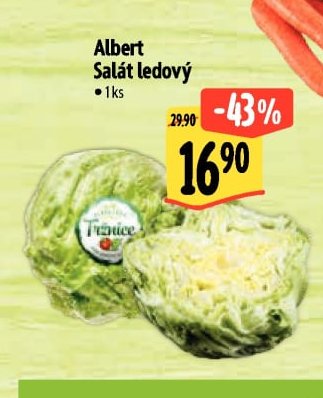Albert Salát ledový