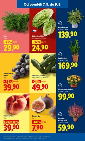 akční leták Lidl 7.9.2026-9.9.2026