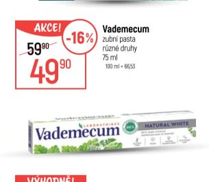 Vademecum zubní pasta
